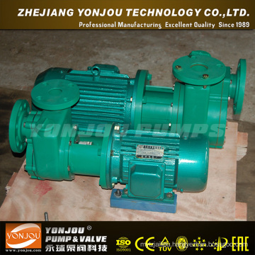 Circulating Pump (FPZ)